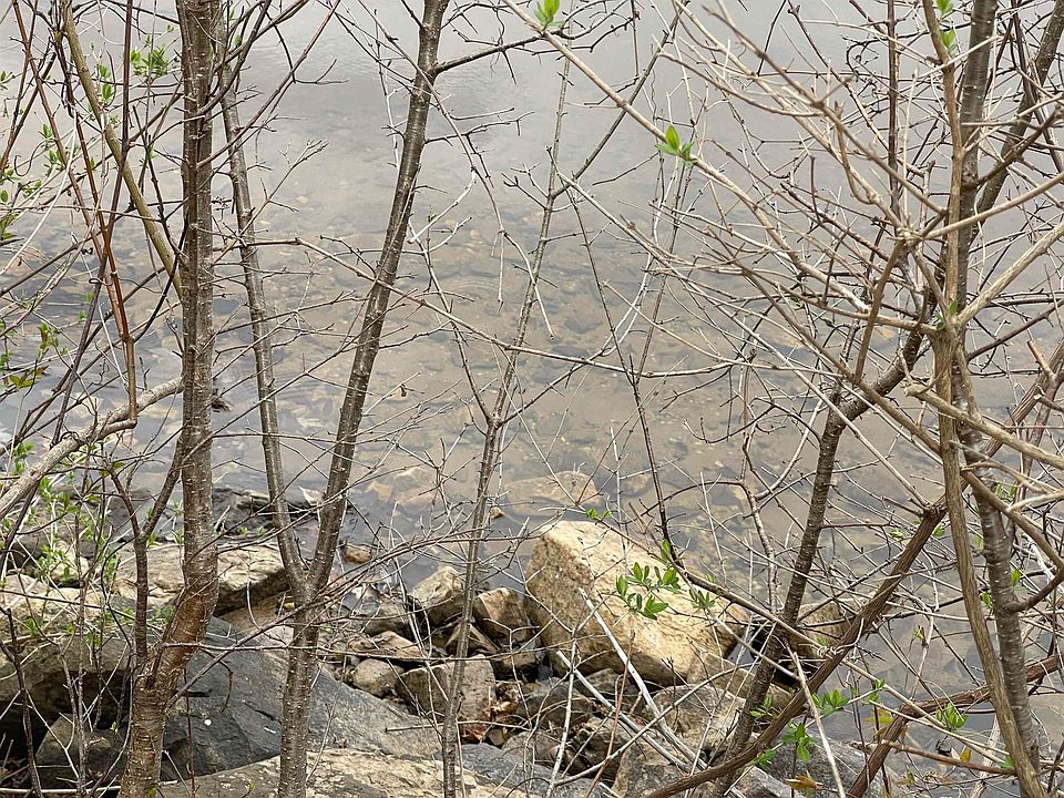 2nd image of 195 Lakeshore Dr