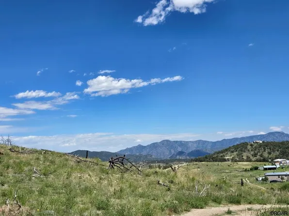 Township Road 114 Trl #24, Cotopaxi, CO 81223