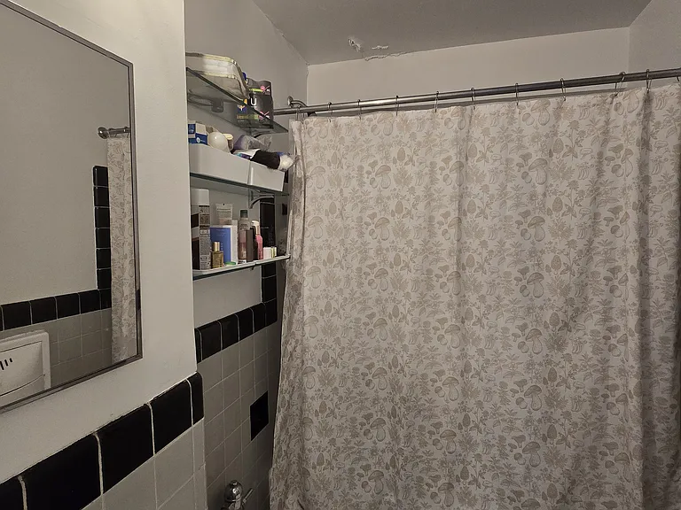 200 W 20th St #204 — Photo 9
