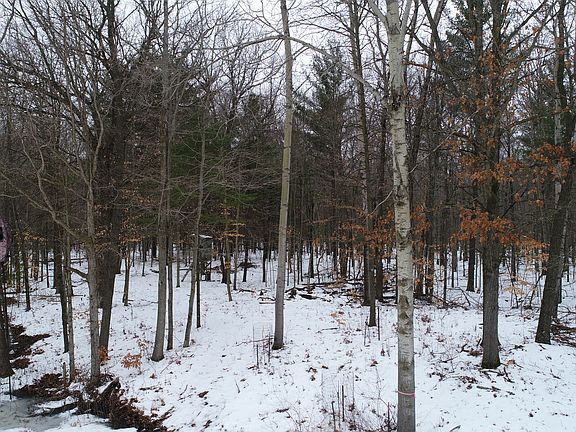 Center Blind Shooting blind 