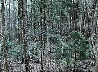 Honey Do Ln, Blue Ridge, GA 30513