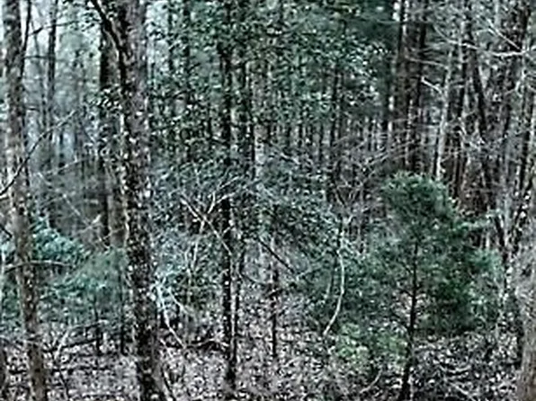 Honey Do Ln, Blue Ridge, GA 30513