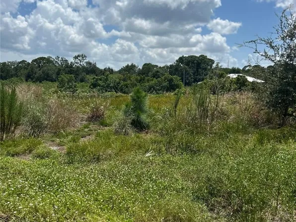 141 Mango Rd NE, Lake Placid, FL 33852