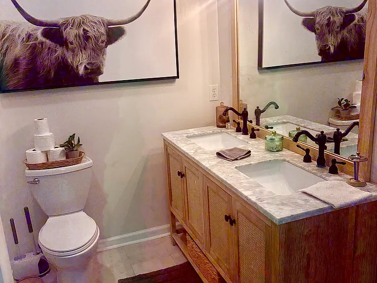 223 Colony Springs Dr — Photo 5