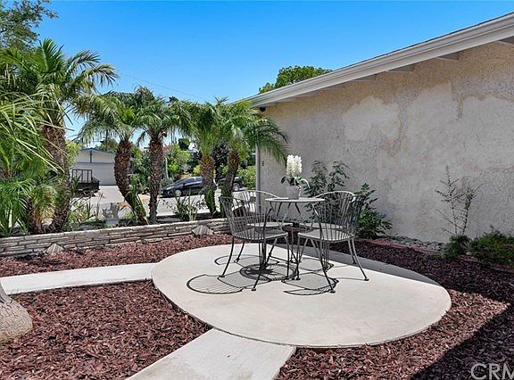 Freshly poured courtyard framed with palm trees