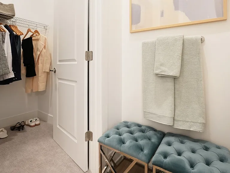 Curio-Closet
