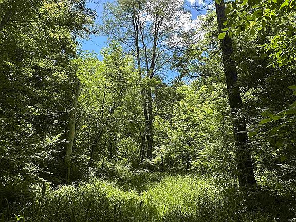5th image of 4645 S West County Line Rd