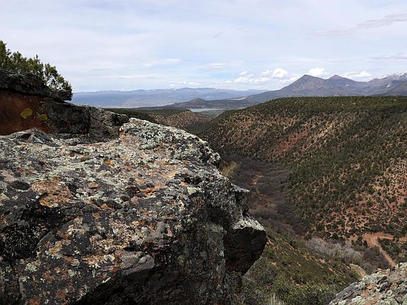 2nd image of Blm Rd