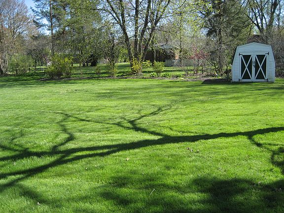 Back lawn, including shed and landscaping