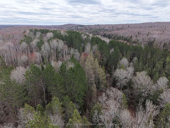 5th image of 101 Rye Rd