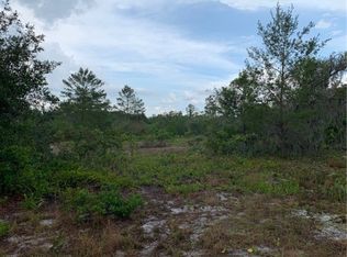 215 Carter Ave, Lake Placid, FL 33852