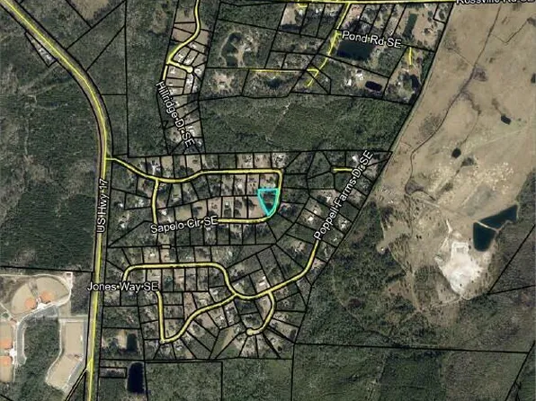 119 Sapelo Cir, Darien, GA 31305