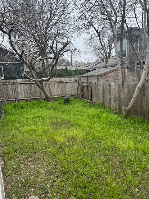 Backyard
