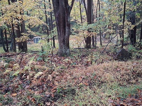 5th image of 0 Popson Rd