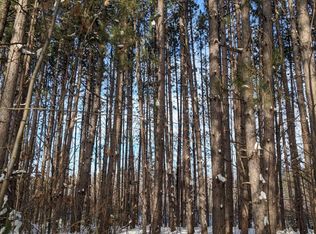 Xxx Hwy #61, Sandstone, MN 55072