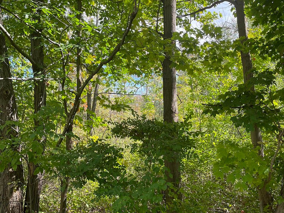 2nd image of Griffin Pond Rd