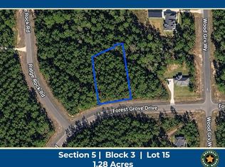 15729 Forest Grove Dr Lot 15, Willis, TX 77378
