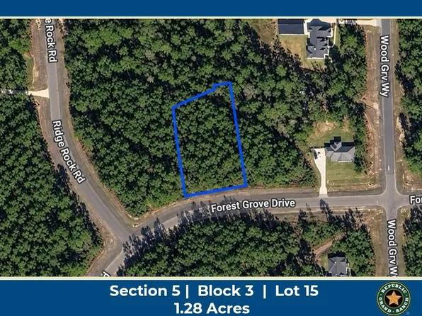 15729 Forest Grove Dr Lot 15, Willis, TX 77378