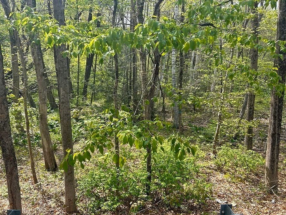 1st image of 45 Fox Hill Rd