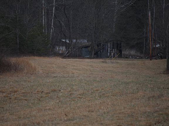 3rd image of Boone Br
