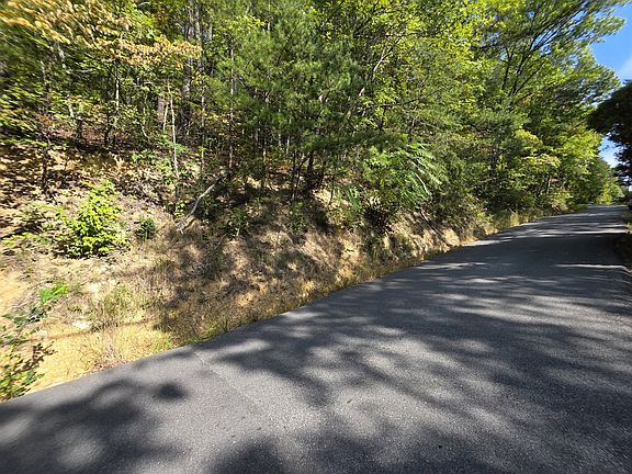 5th image of 0 Hatcher Top Rd Lot 2