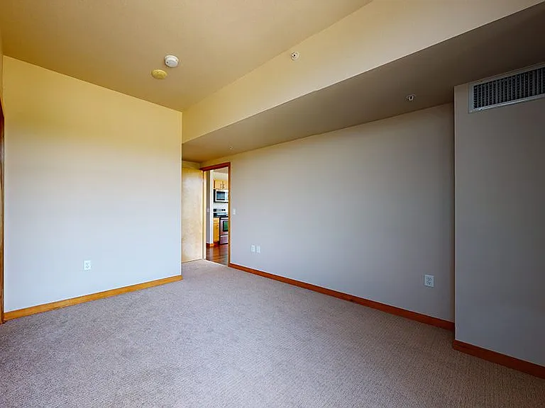 Spacious apartment bedroom with plush carpet flooring