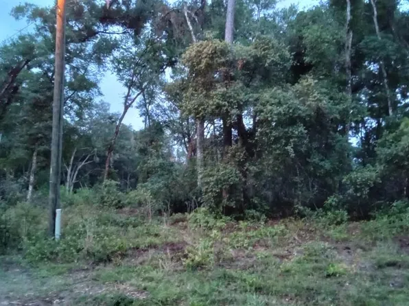 0 SE 131st Pl #10, Belleview, FL 34420