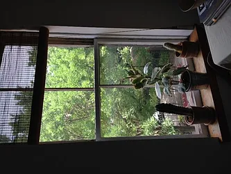 Rented by Downtown Realty Group LTD