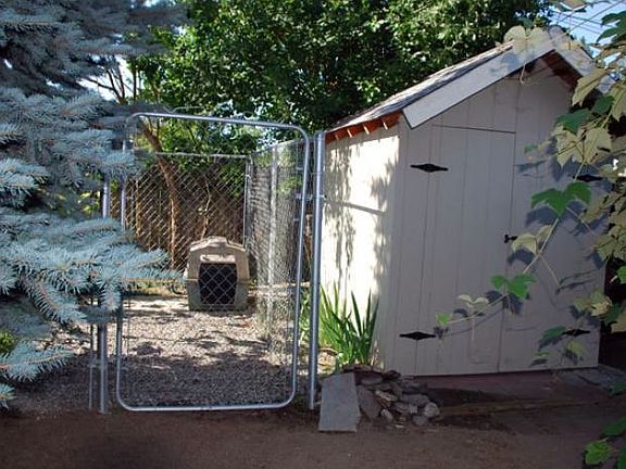 Dog Kennel & Storage Shed