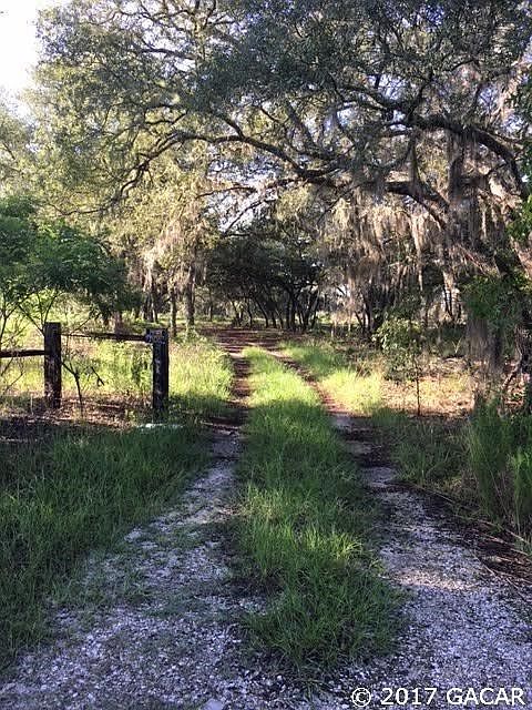 A Welcoming Tree-lined Drive