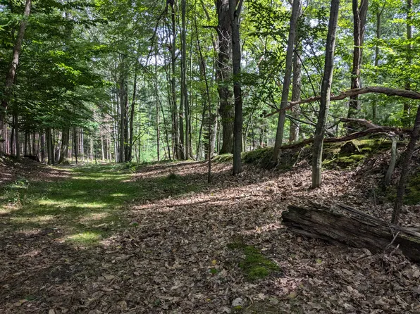 Hill Rd, Manistee, MI 49660