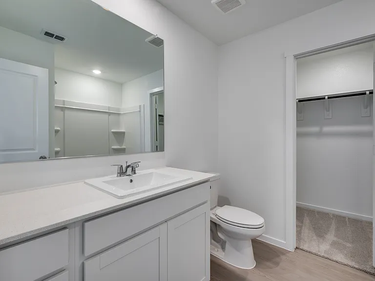 3145 Burmese St — Photo 22