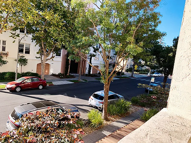 365 Forest Ave #2D — Photo 36