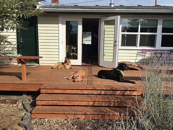 Back Deck (Dogs not included :) ) 