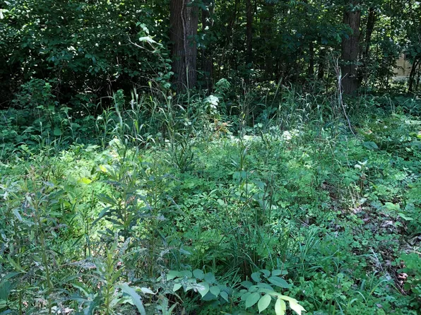 9311 Baker Rd, Jerome, MI 49249