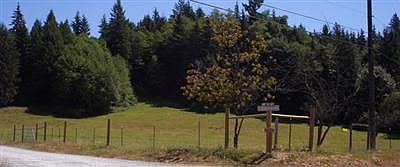 lower pasture