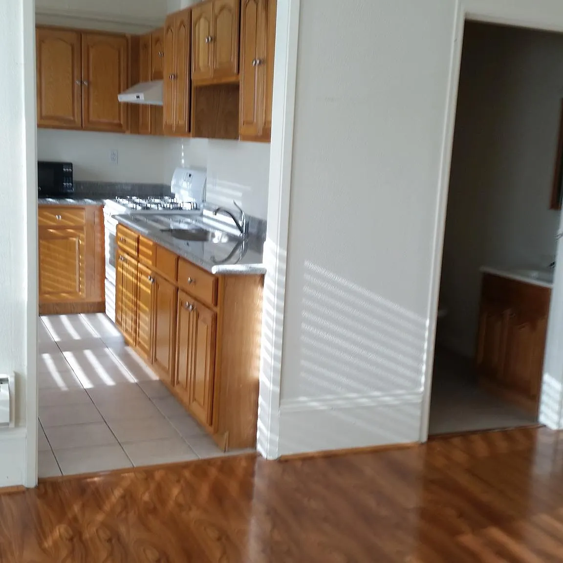 Studio, 439 sqft, $1,490 — Photo 3