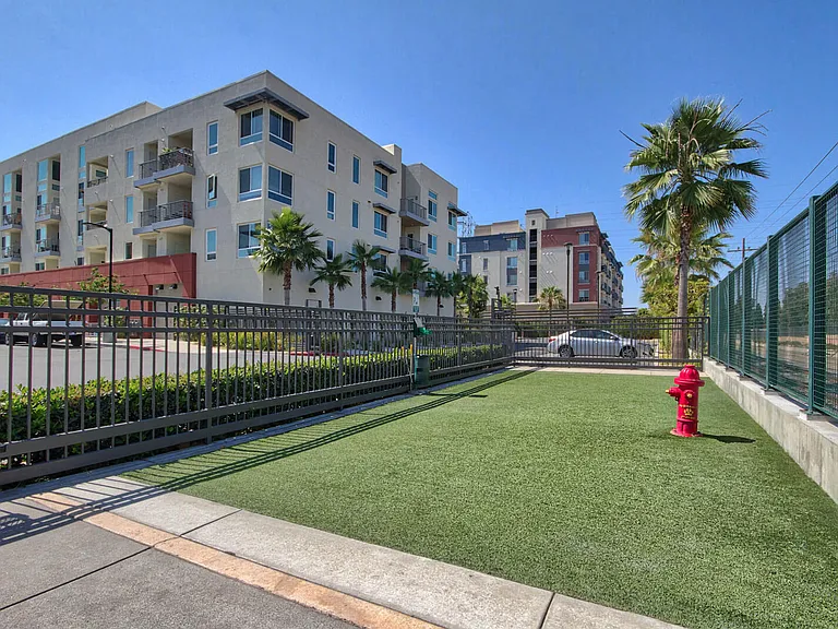 Boardwalk by Windsor is a pet-friendly community with a dog park
