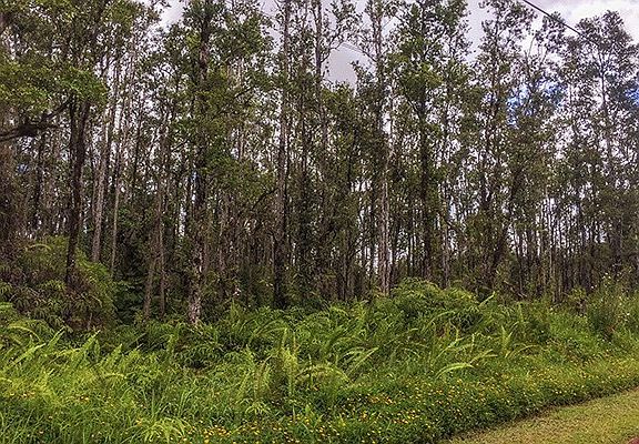 5th image of Bamboo Dr Lot 83