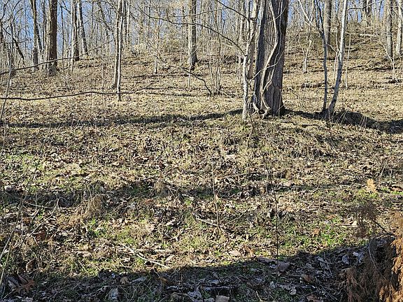 2nd image of 0 Harbor Dr Lot 24