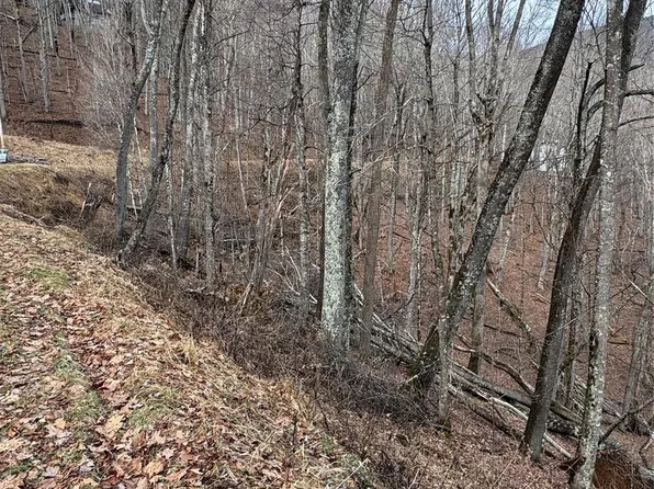 554 Flame Azalea Ln #112, Mars Hill, NC 28754