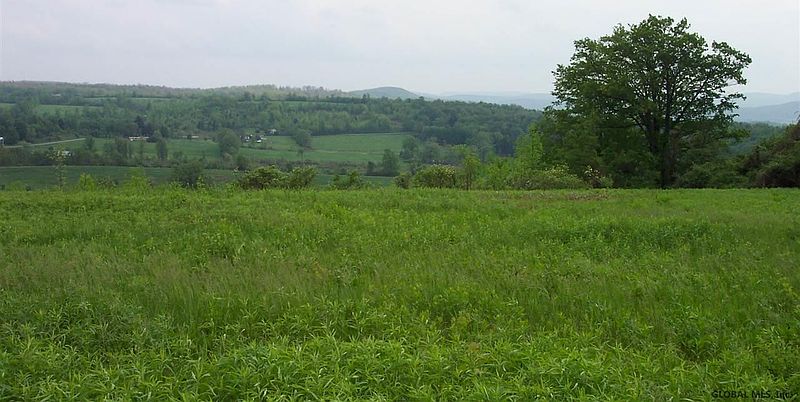 2nd image of 431 PARSONS Road
