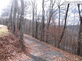 Tbd Meadow Ave, Banner Elk, NC 28604