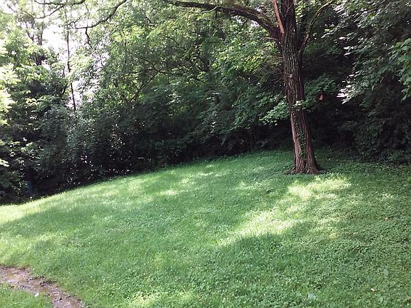 Rear Yard