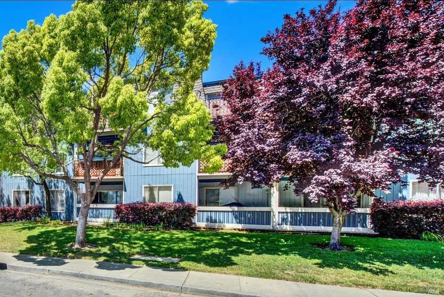 1 bed, 706 sqft, $1,650 — Photo 2