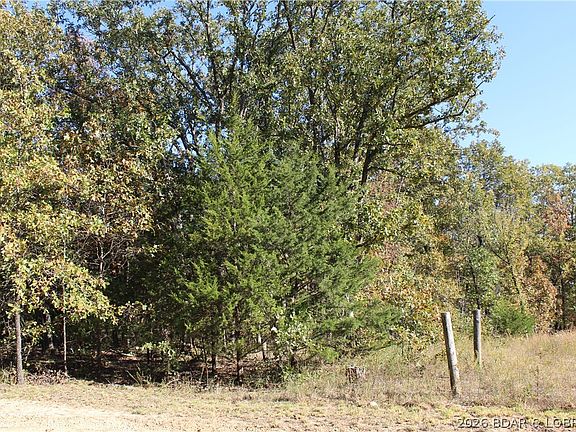 3rd image of Leaning Tree Rd