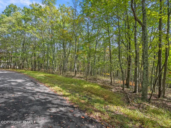 Stone Ridge Rd, Albrightsville, PA 18210