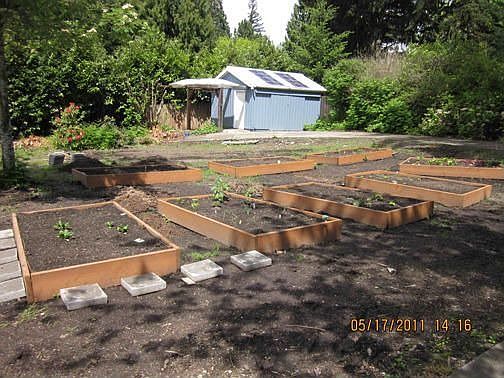 Huge backyard & fully shed 