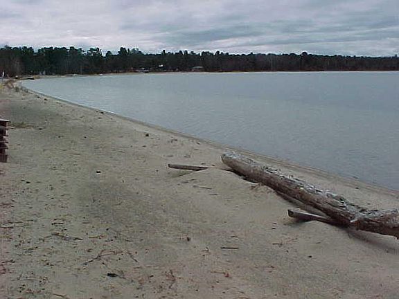 3rd image of 29321 County Road 407
