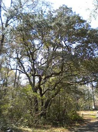 2nd image of 9 Echo Ln E